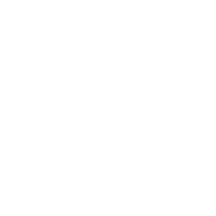 Confirm Icon